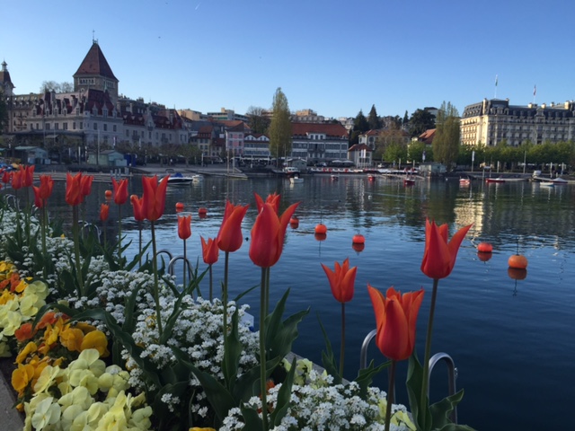 Swiss Boarding Schools